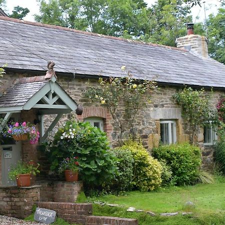 Bed and Breakfast Trewassick Barn New Quay Exterior foto