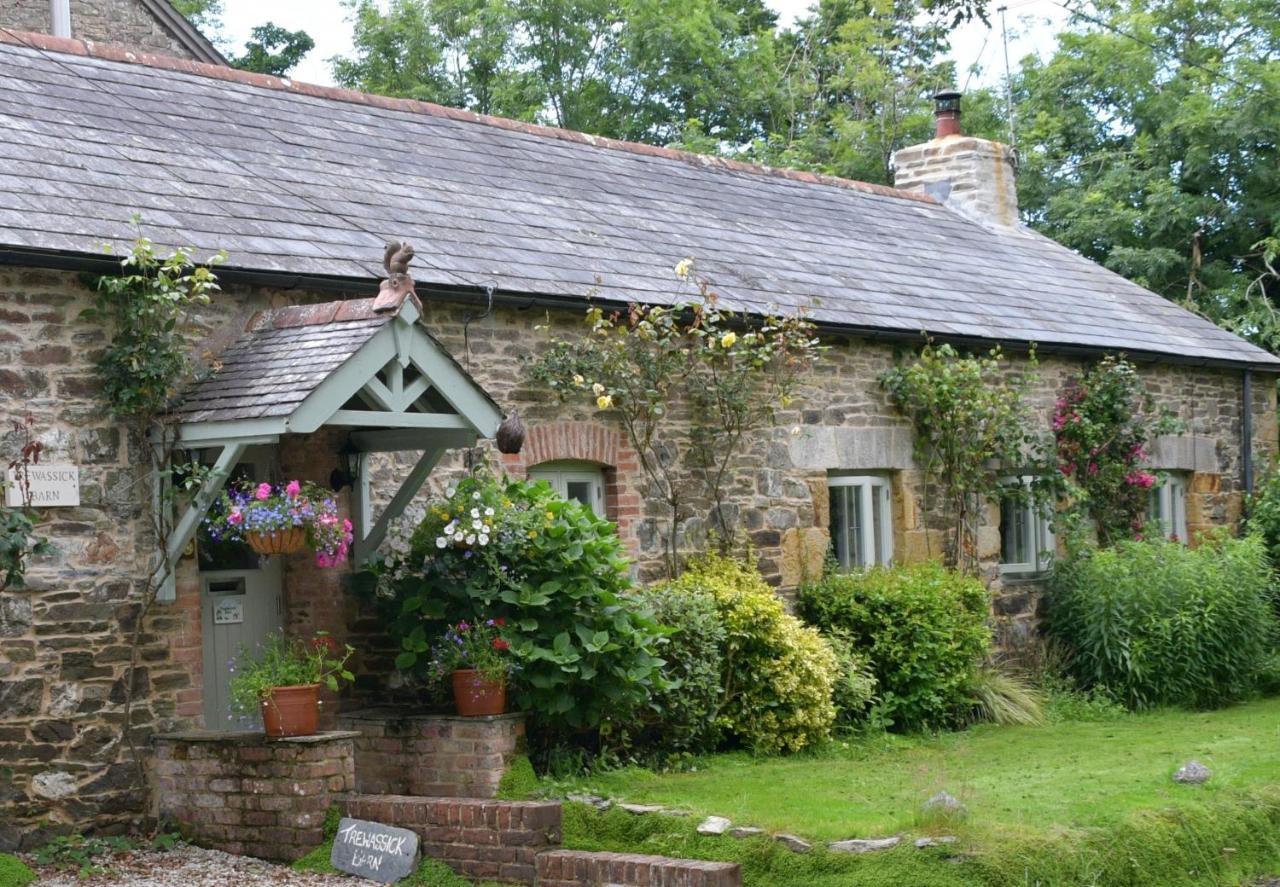 Bed and Breakfast Trewassick Barn New Quay Exterior foto